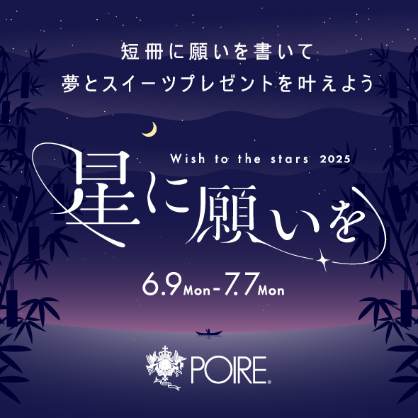 星に願いを Wish to the stars 2025