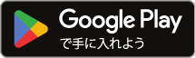 Google Store